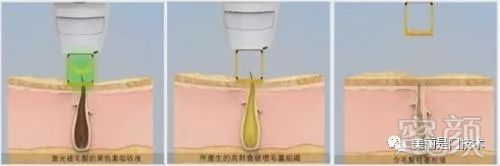 https://img.miyanlife.com/mnt/timg/190124/125AS336-2.jpg