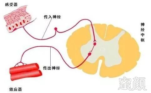 案例图片