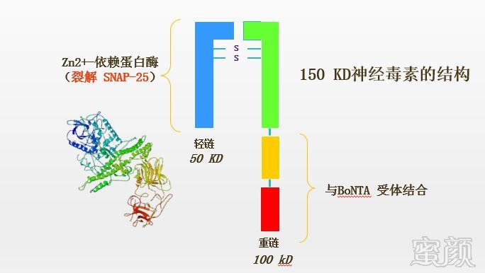 案例图片