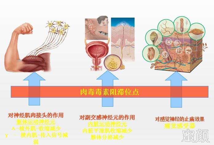 案例图片