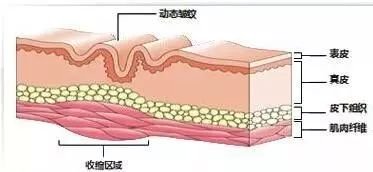 案例图片