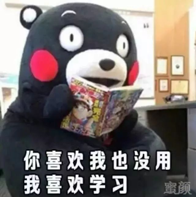 案例图片