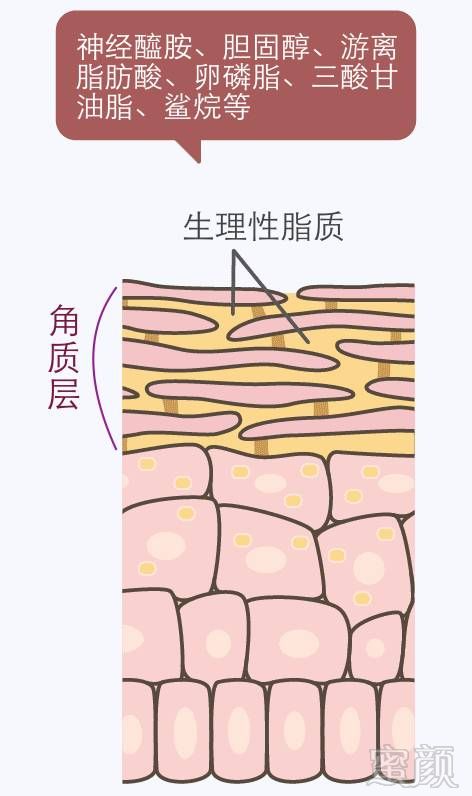 https://img.miyanlife.com/mnt/timg/190129/1230113642-13.jpg