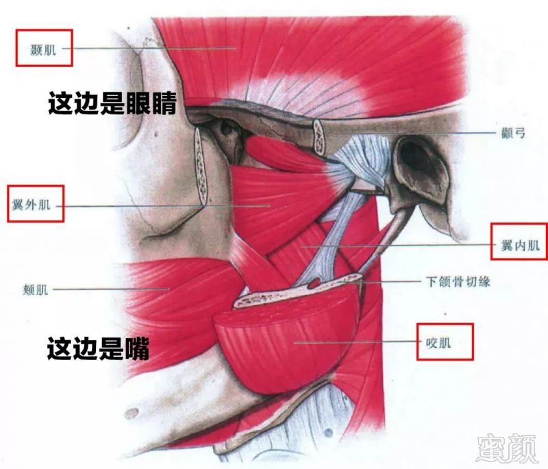 案例图片