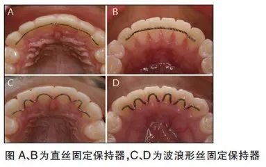 https://img.miyanlife.com/mnt/timg/190129/125S934I-5.jpg