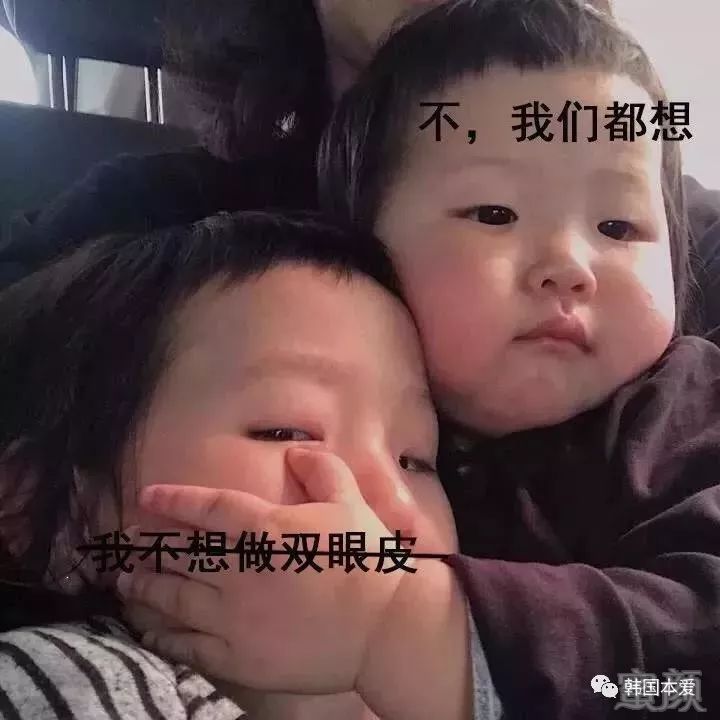 案例图片