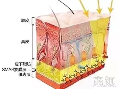 https://img.miyanlife.com/mnt/timg/190201/1319161K3-3.jpg