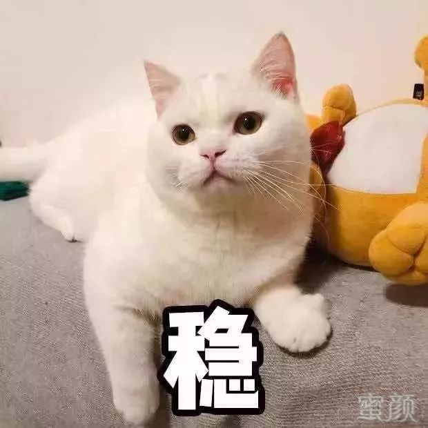 https://img.miyanlife.com/mnt/timg/190201/13191a5a-9.jpg