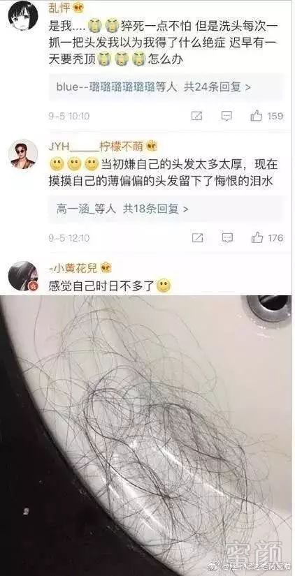 案例图片