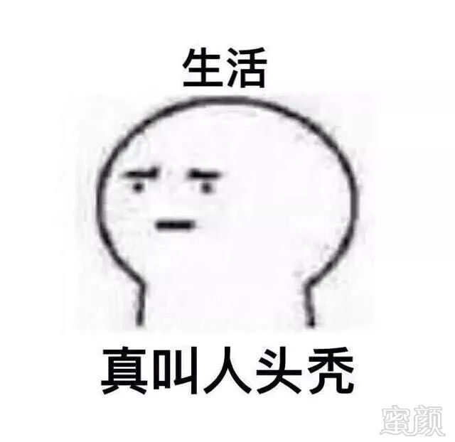 案例图片