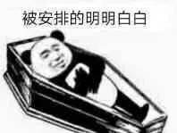 案例图片