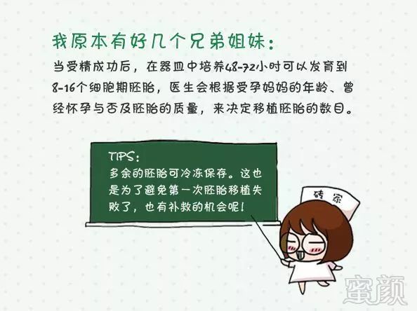 https://img.miyanlife.com/mnt/timg/190205/14054L192-7.jpg
