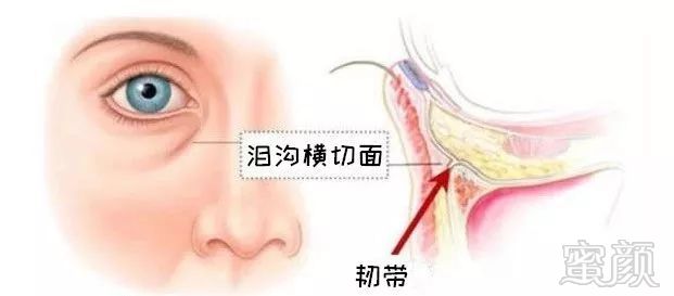 https://img.miyanlife.com/mnt/timg/190207/115G21408-0.jpg