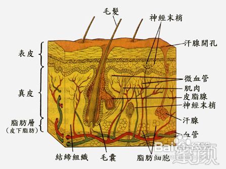 案例图片