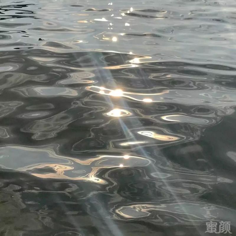 https://img.miyanlife.com/mnt/timg/190210/112G12644-11.jpg