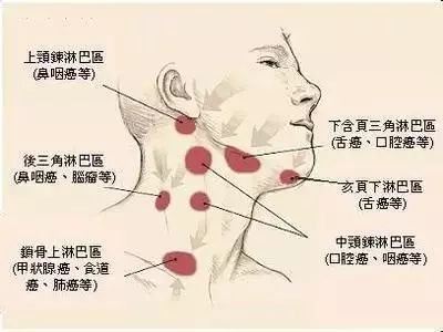 案例图片