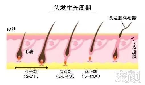 案例图片