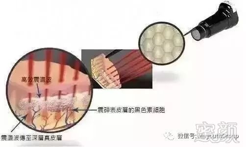 https://img.miyanlife.com/mnt/timg/190213/120U143R-4.jpg