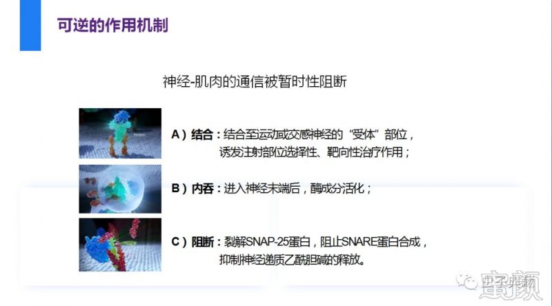 https://img.miyanlife.com/mnt/timg/190216/131R64046-4.jpg