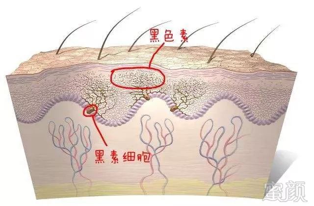 案例图片