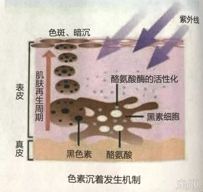 案例图片