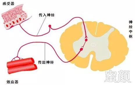 https://img.miyanlife.com/mnt/timg/190220/125RM922-0.jpg