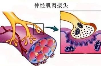 https://img.miyanlife.com/mnt/timg/190220/125RUc9-1.jpg