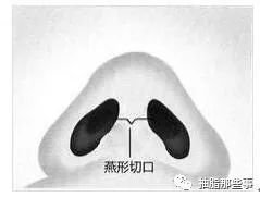https://img.miyanlife.com/mnt/timg/190220/13092A452-3.jpg