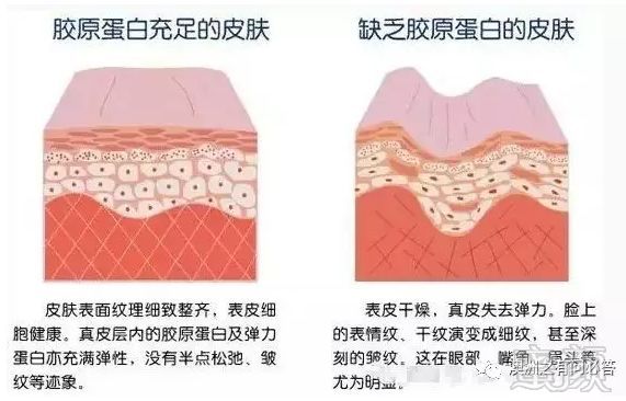 https://img.miyanlife.com/mnt/timg/190221/1232555H2-3.jpg