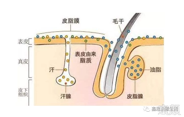 案例图片