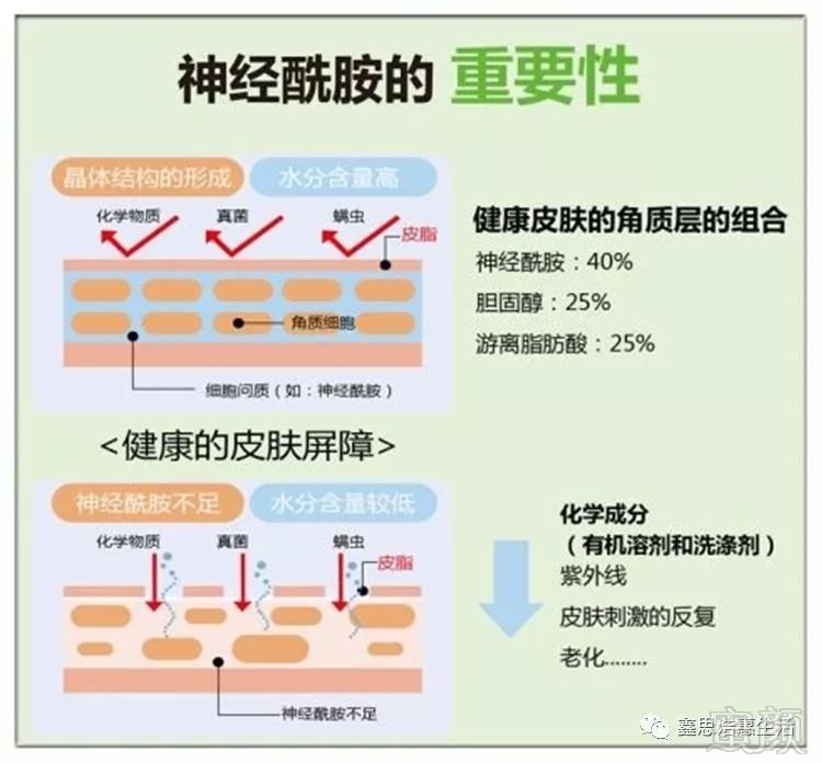 案例图片