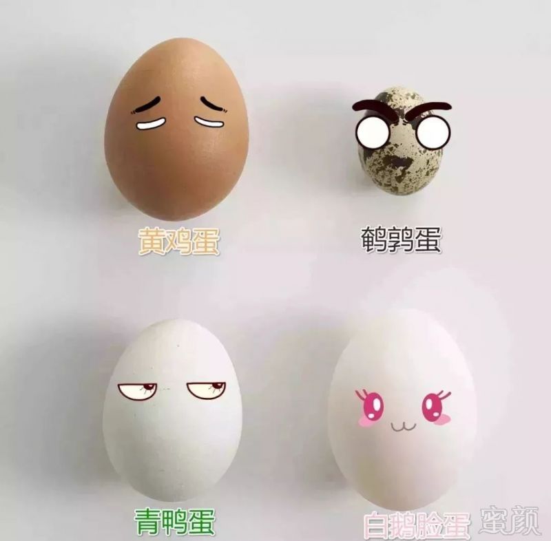 https://img.miyanlife.com/mnt/timg/190221/1422346403-0.jpg
