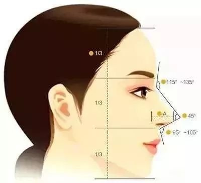 https://img.miyanlife.com/mnt/timg/190222/1229261E1-9.jpg 案例图片
