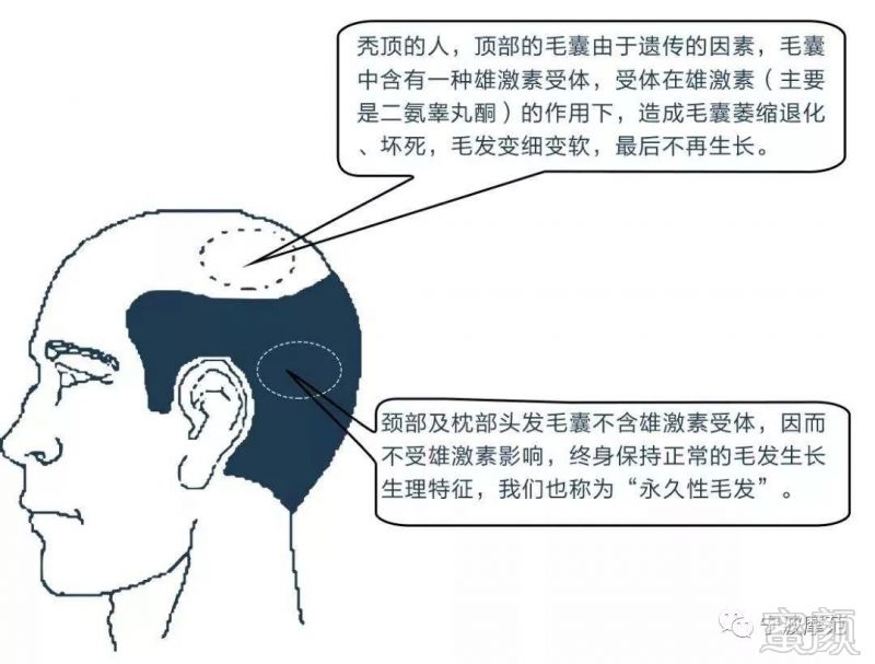 https://img.miyanlife.com/mnt/timg/190222/124315NF-3.jpg