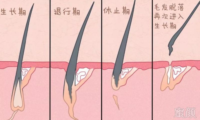 https://img.miyanlife.com/mnt/timg/190222/1253115a9-2.jpg
