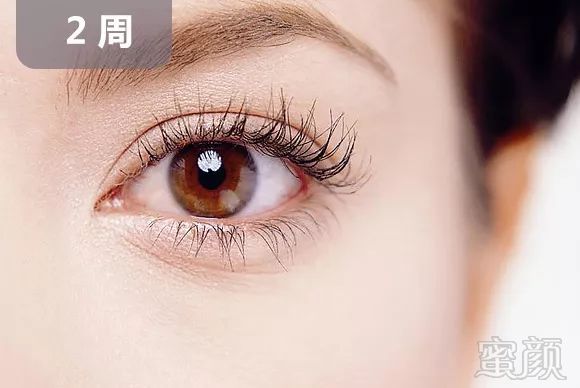 https://img.miyanlife.com/mnt/timg/190222/1321324553-3.jpg