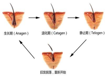 https://img.miyanlife.com/mnt/timg/190223/1256412311-1.jpg
