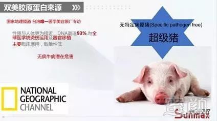 https://img.miyanlife.com/mnt/timg/190223/13011961E-6.jpg