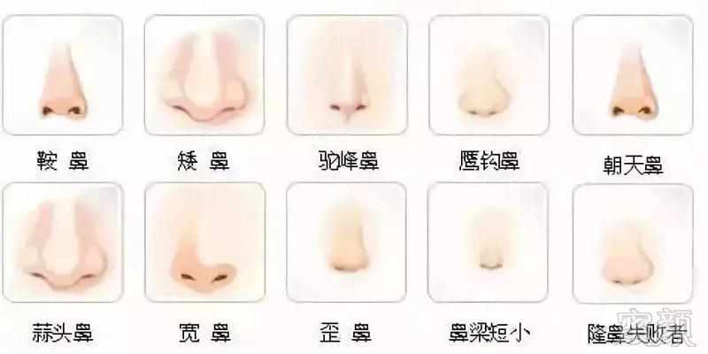 https://img.miyanlife.com/mnt/timg/190224/120615L52-4.jpg