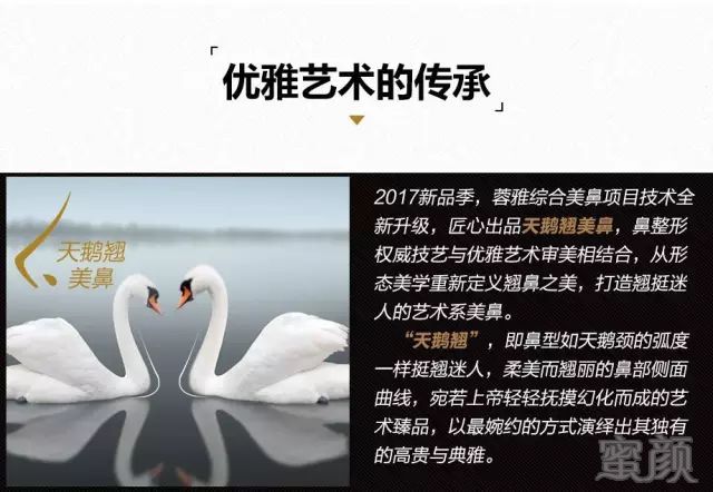 https://img.miyanlife.com/mnt/timg/190224/12125HI0-8.jpg