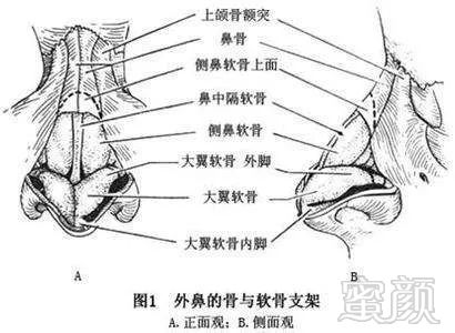 https://img.miyanlife.com/mnt/timg/190225/1333522K2-6.jpg