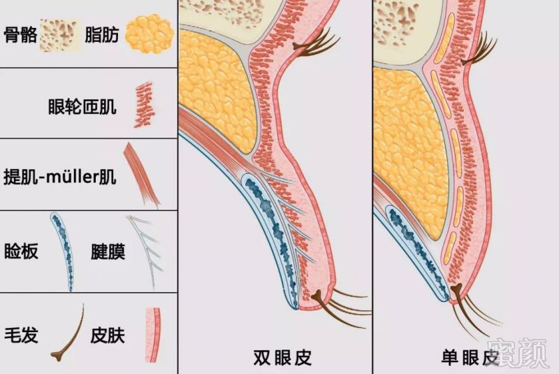 案例图片