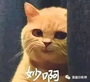 https://img.miyanlife.com/mnt/timg/190226/1416205D6-7.jpg