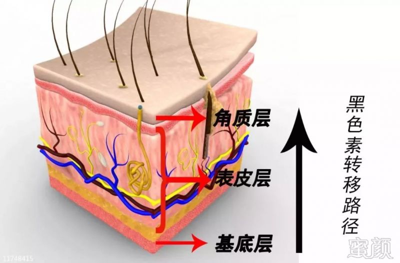 https://img.miyanlife.com/mnt/timg/190227/1249242426-0.jpg