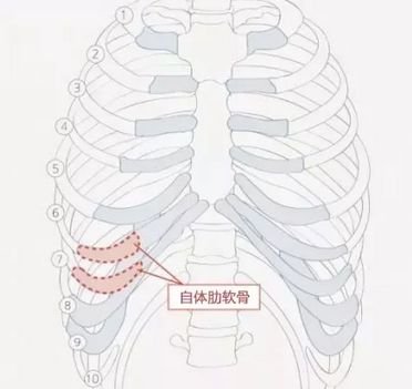 https://img.miyanlife.com/mnt/timg/190228/12362G364-8.jpg