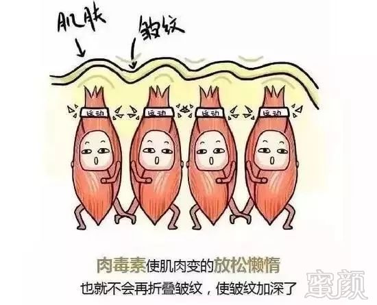 https://img.miyanlife.com/mnt/timg/190301/142023E96-0.jpg
