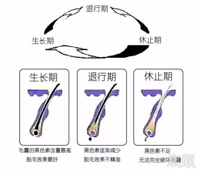 https://img.miyanlife.com/mnt/timg/190302/13212C929-4.jpg