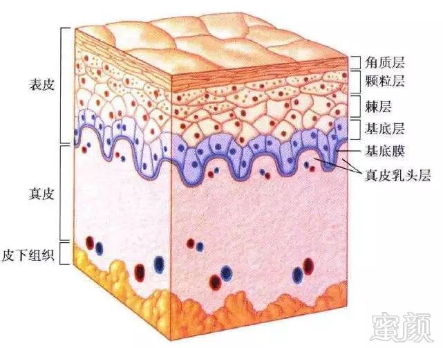 案例图片