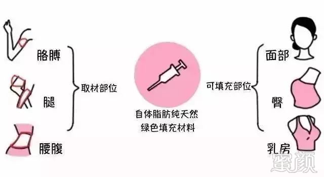 案例图片