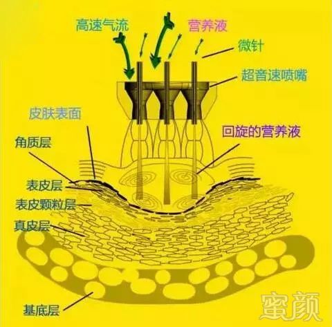 https://img.miyanlife.com/mnt/timg/190302/13542B543-2.jpg